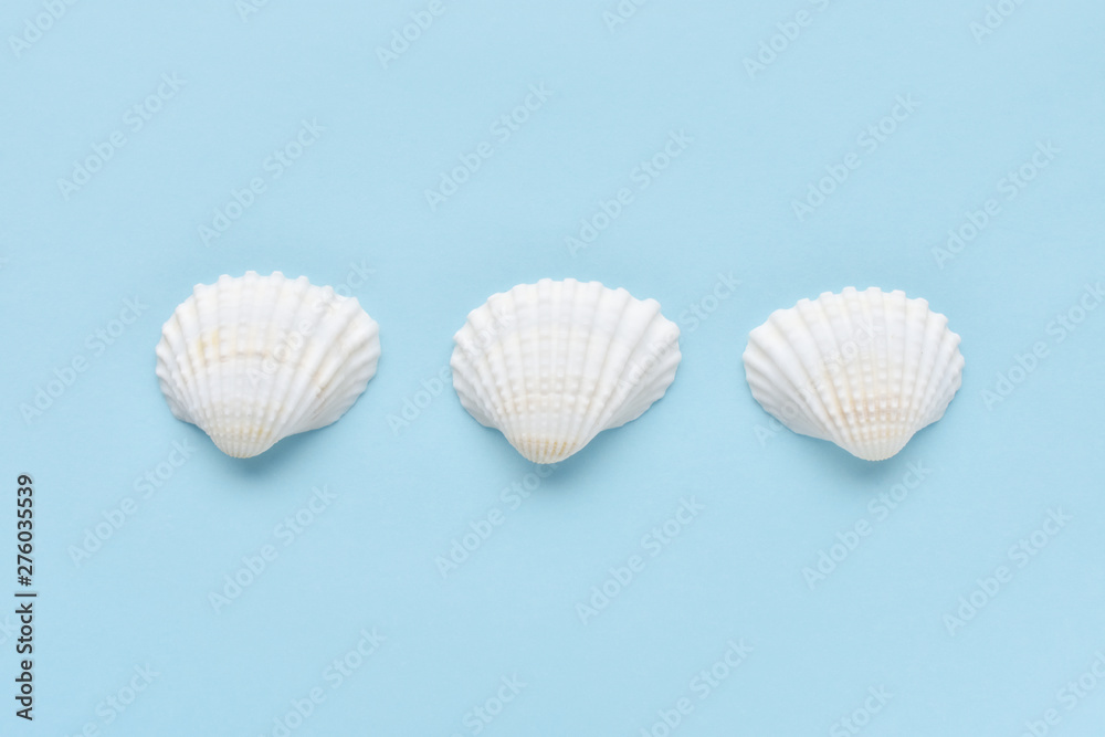 3つの貝殻 3つの貝殻