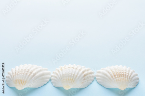 ３個の貝殻