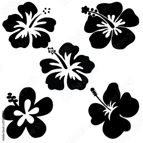 Five Hibiscus vector on white background