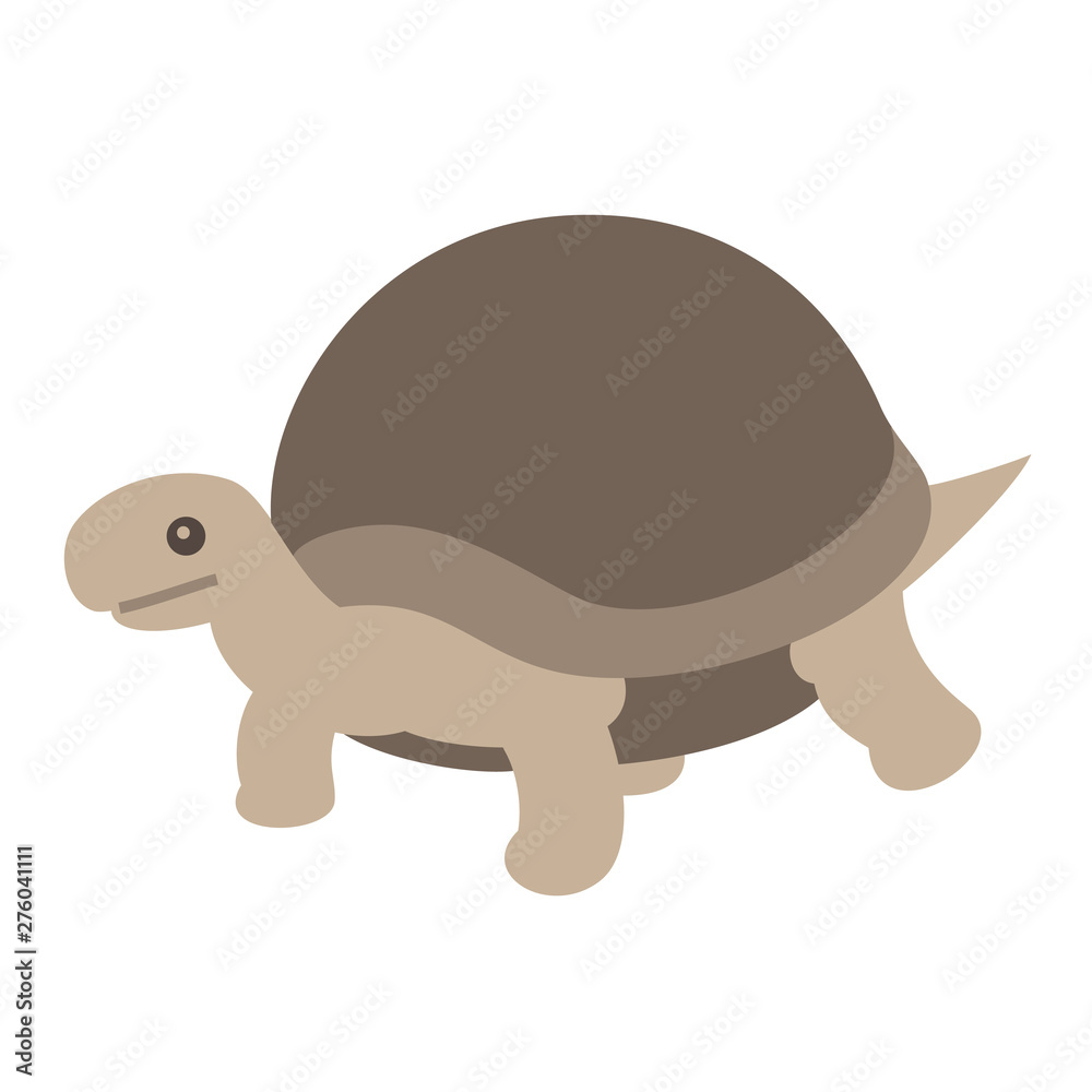 Fototapeta premium リクガメ