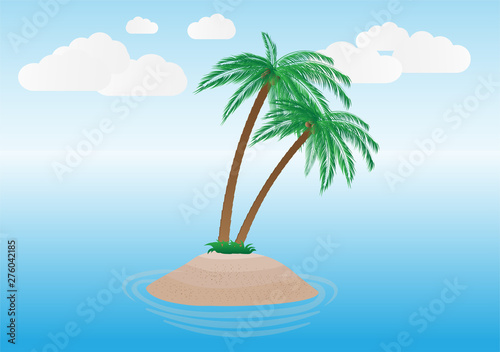 palm on island. summer background.