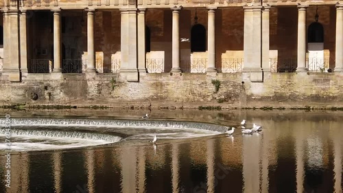 Super Slow Motion Shot of Seagull Flying Past Pulteney Weir in Bath, Somerset with Bath Stone Columns in Background lit by a Warm Morning Summer’s Sun