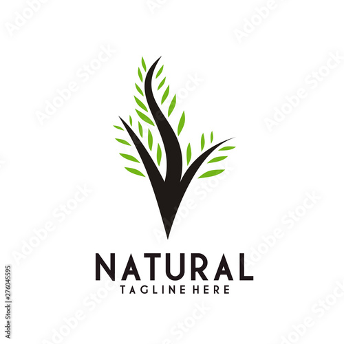 Fototapeta Naklejka Na Ścianę i Meble -  Nature or tree, plant logo design