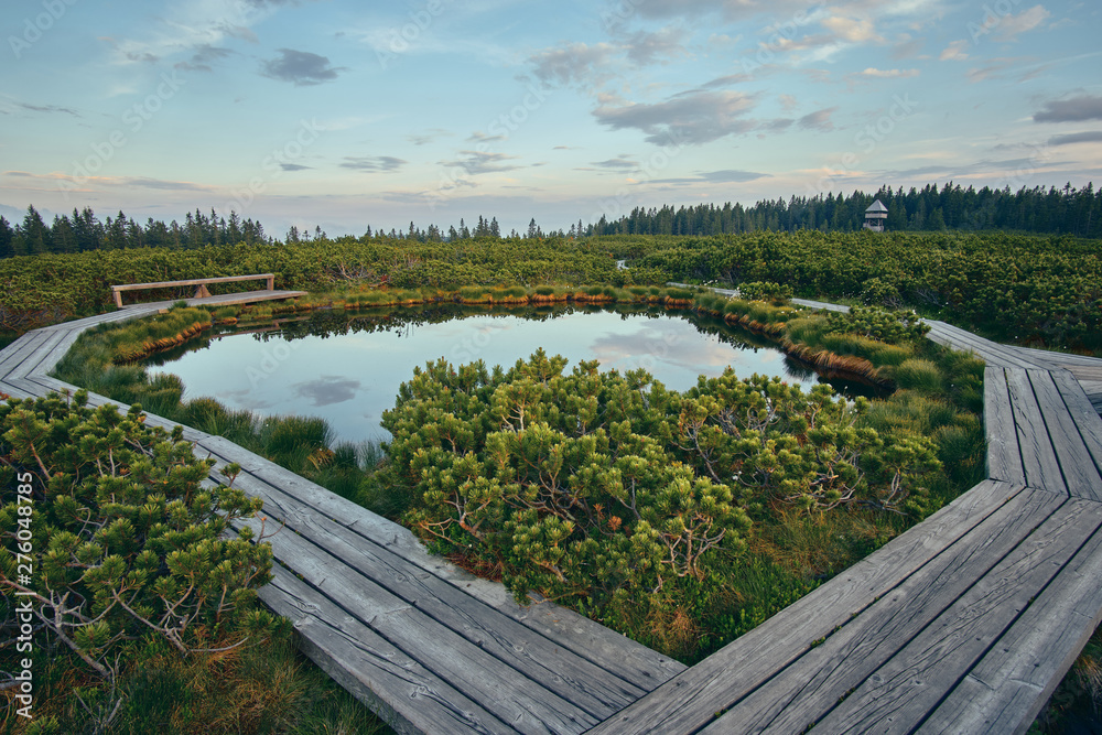 wooden path at Lovrenska lakes with the tower in the background - Slovenia wooden path at Lovrenska lakes with the tower in the background - Slovenia