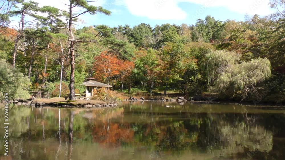 山里の秋 (長野県 塩嶺御野立公園)