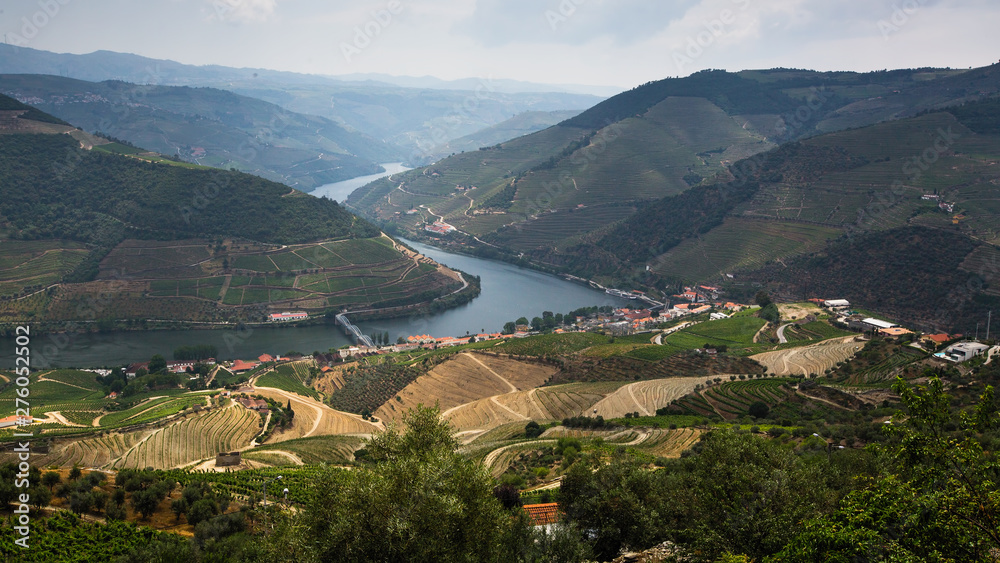 Panoramic view of the Douro valley with vineyards in the hills, Porto, Portugal.