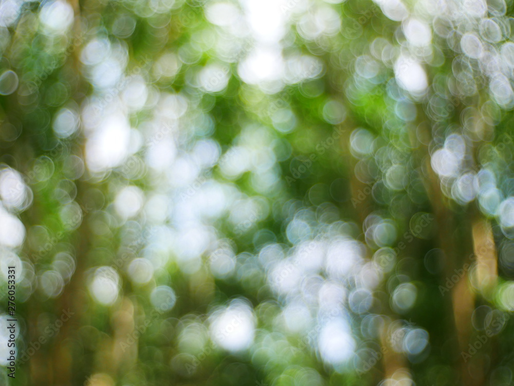 Obraz premium blurred nature background green bokeh light
