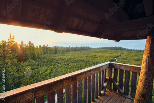a view of Lovrenska lakes from the wooden tower - Slovenia