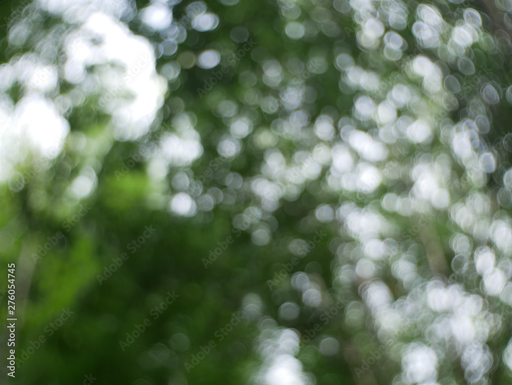 Obraz premium blurred nature background, green bokeh light background