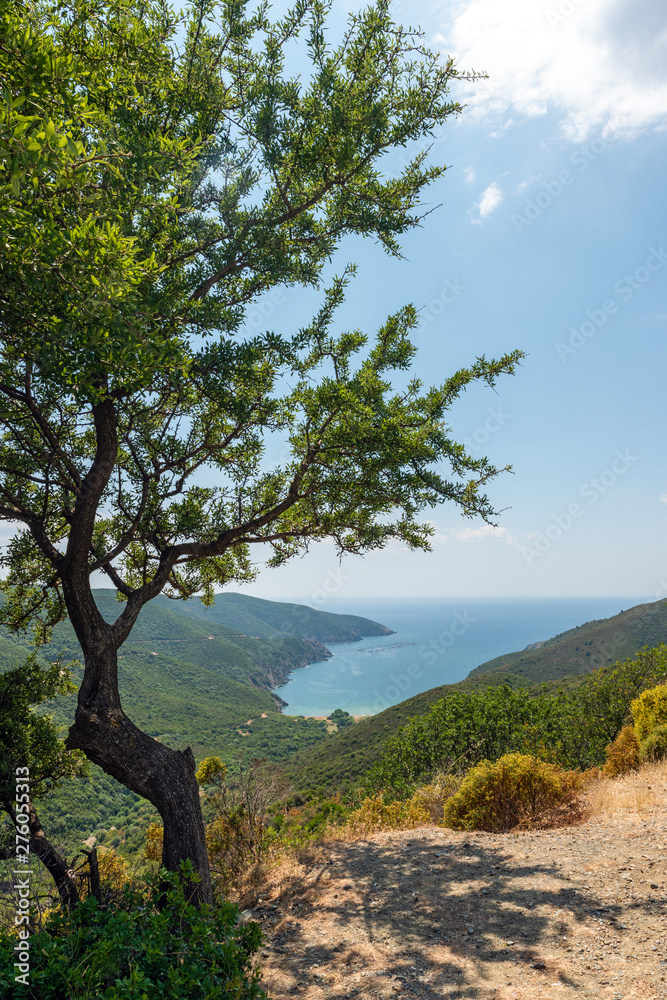 Beautiful panoramic view on the bay