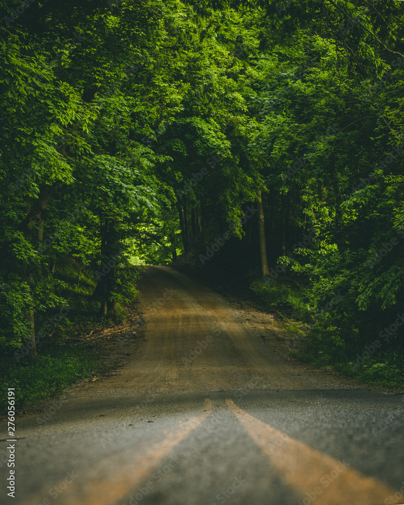 Fototapeta premium country road