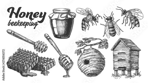 Collection Honey Beekeeping Apiary Set Vector. Glass Bottle And Slice Honeycomb, Wooden Hive And Wild On Branch Beehive House, Honey Dipping Stick And Bee. Monochrome Designed Cartoon Illustration