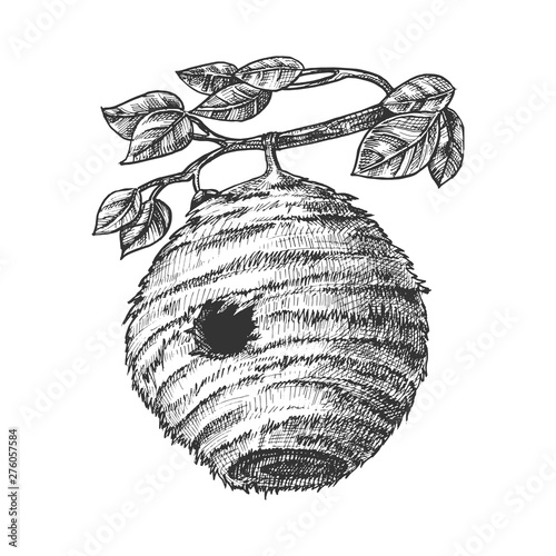 Bee Hive House Of Wild Insect On Branch Vector. Engraved Organic Nature Wax Bee Home Beehive With Circular Entrance For Flying Animal Colony On Leaves Tree. Monochrome Cartoon Illustration