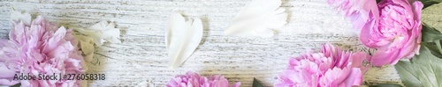 Banner of Closeup of beautiful pink Peonie flowers with petals on white wooden background. Flat lay