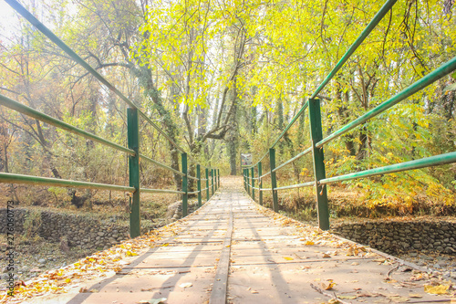 A small wooden foot bridge crossing a small stream in a forest area in Dachigam National Park, Srinagar Kashmir