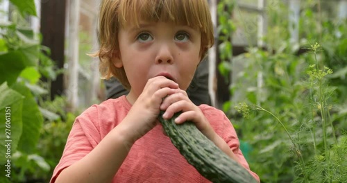 Cute little kid eating a cucumber in the garden. Kids eat vegetables outdoors. Healthy snack for children