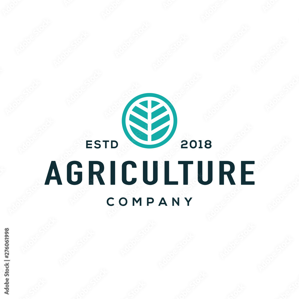 Leaf logo design vector.