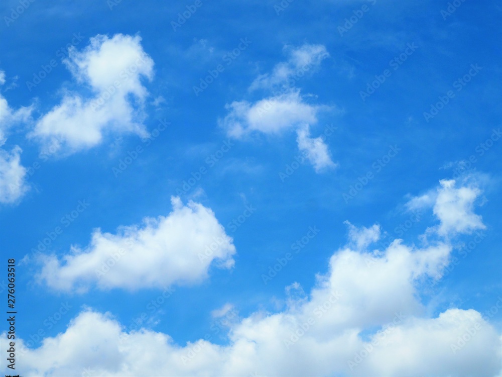 Obraz premium 青空と白い雲 初夏