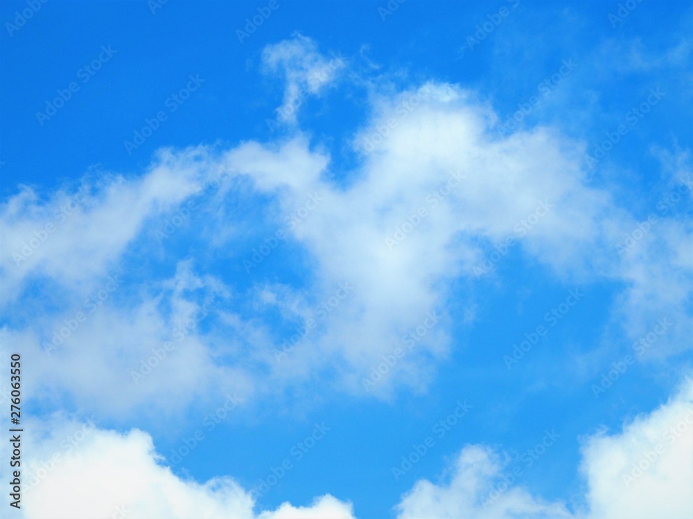 Obraz premium 青空と白い雲 初夏