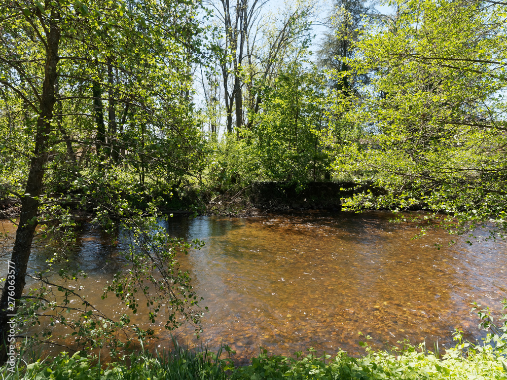 Fototapeta premium Au bord de La Bresbre, le long du parc floral de Lapalisse dans l'Allier 