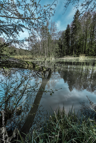 Naturschutzgebiet mit Teich photo
