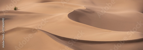 Tela unsurpassed sand dunes in Dasht-e-Lut, Lut desert, the hottest desert in the wor