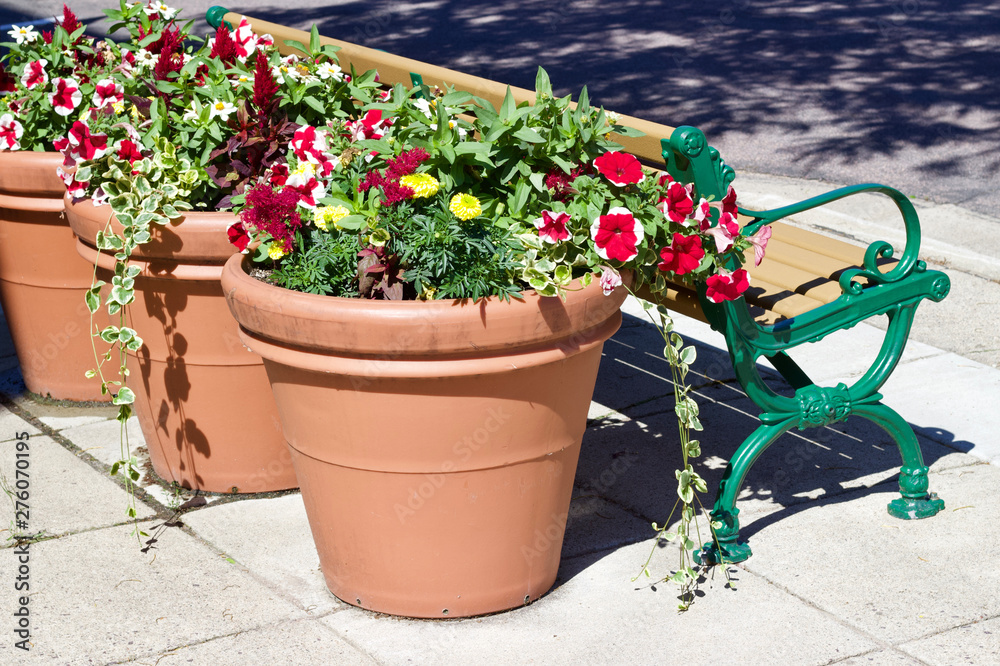 Large flower pots and a park bench on a street corner