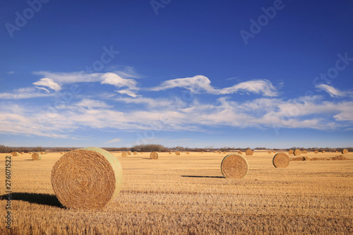 Round bails of hay in a farmers field