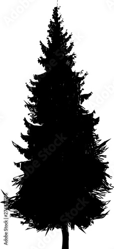 Fir-tree black silhouette. Black and white illustration for design.