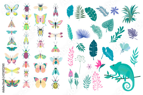Set of plants and insects - beetles, butterflies, moths. Editable vector illustration