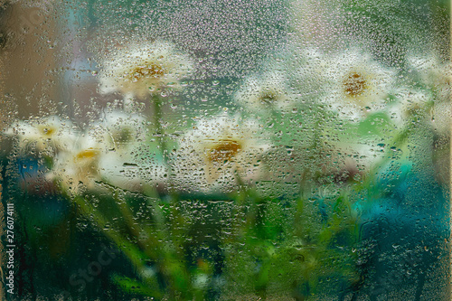 Blurred flowers, daisies behind wet window glass, raindrops. Concept of rainy weather, seasons. Abstract background photo