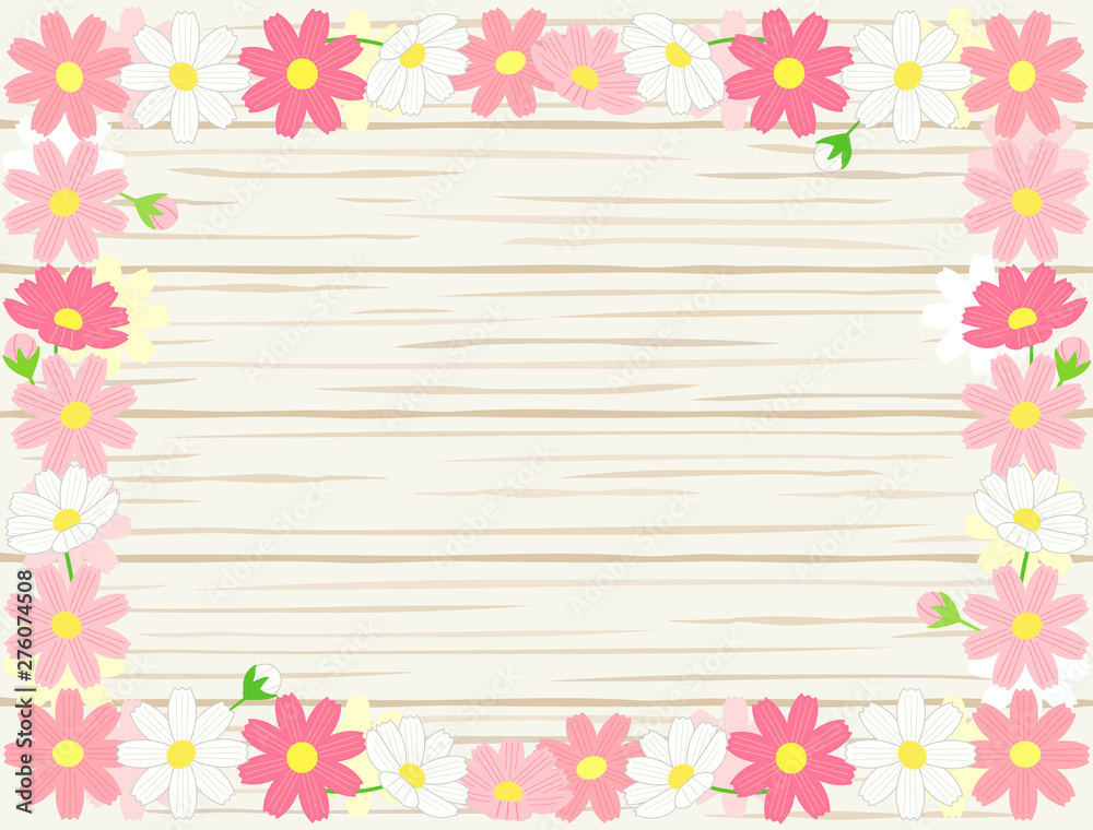 コスモス18 コスモス18