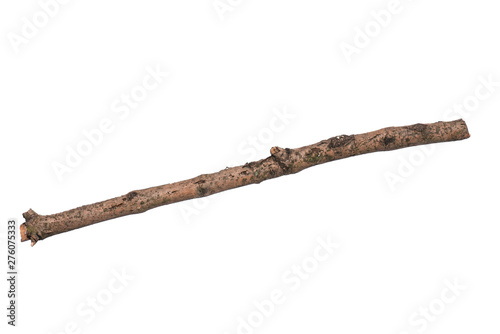 Tablou canvas Single dry tree branch, isolated on white background