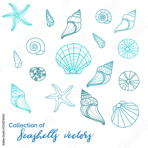 Beautiful sealife vectors, collection of various clam, starfish, snail, urchin - great for underwater and miritim designs, fashion prints, summer inspired textiles, beach wear or backgrounds. © TALVA