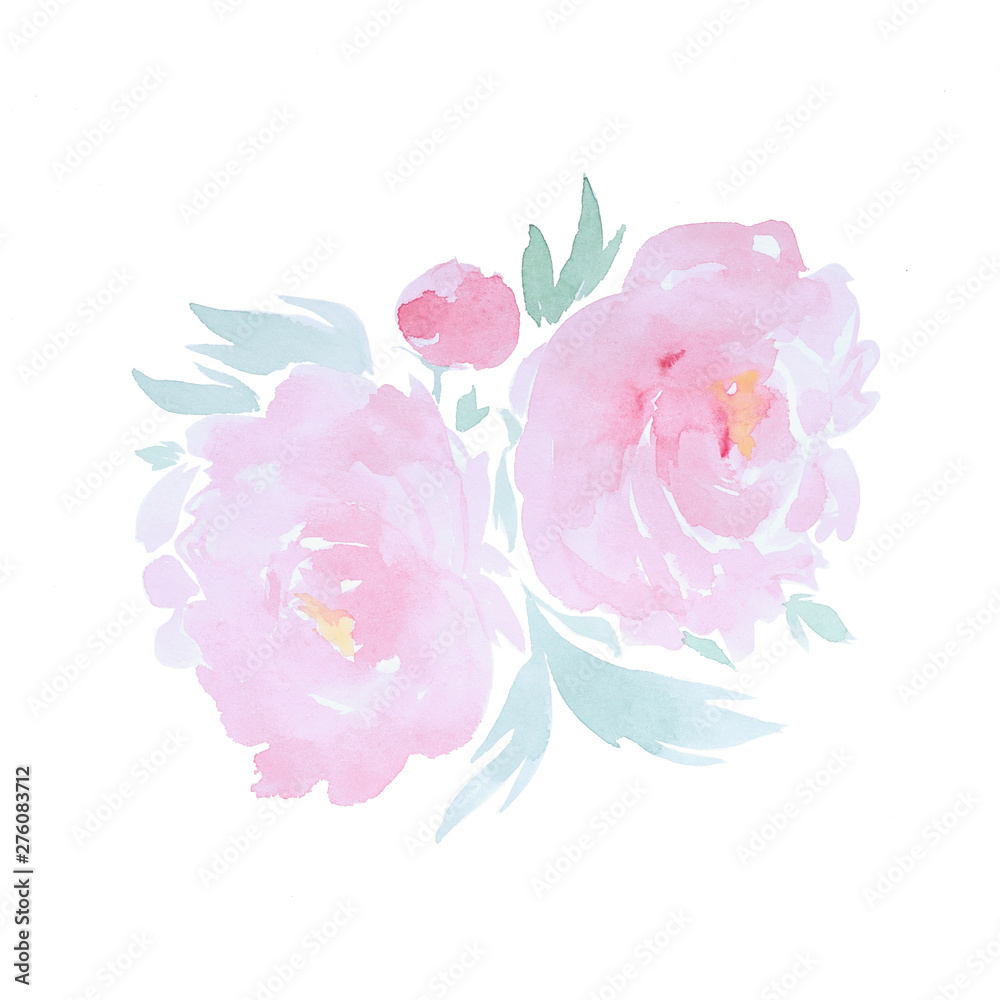 Hand drawn watercolor pink flowers of peony on white isolated background
