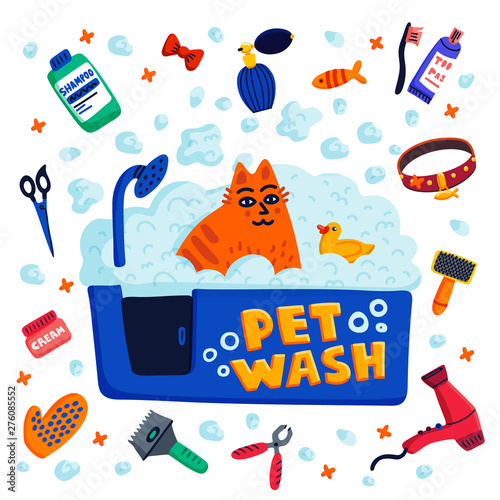 Pet grooming concept. Cat sitting in a bath with foam and goods for bathing o...