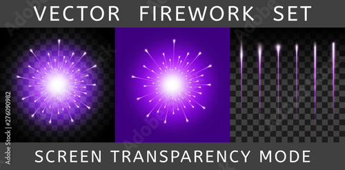 Vector Bright Colorful Violet Firework