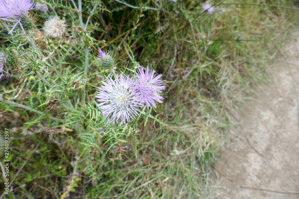 2019-05 Sardinien 2019-05 Sardinien