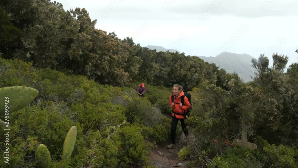 Young women walking high in mountains among cactuses and tropical plants in beautiful scenery. Ladies on the tourist route in Canary Islands, Tenerife. Young women walking high in mountains among cactuses and tropical plants in beautiful scenery. Ladies on the tourist route in Canary Islands, Tenerife.