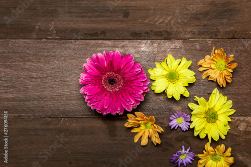 Colorful flowers on wooden background
