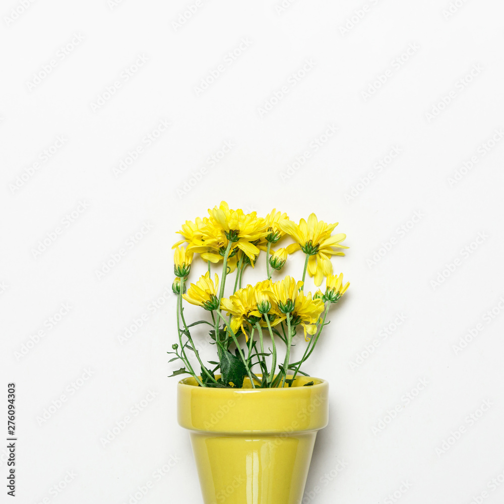 Yellow flowers in yellow pot on white surface