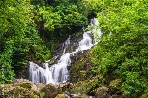 Fototapeta Naklejka Na Ścianę i Meble -  Long exposure of a waterfall in a lush green forest background. River flowing through the mountain rocks. Torc waterfall, a popular tourist attraction in Killarney, Co. Kerry, Ireland.