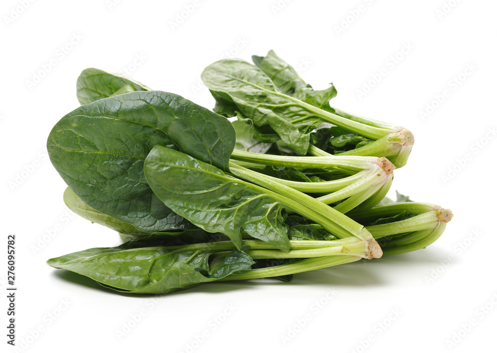 Spinach on a white background Spinach on a white background