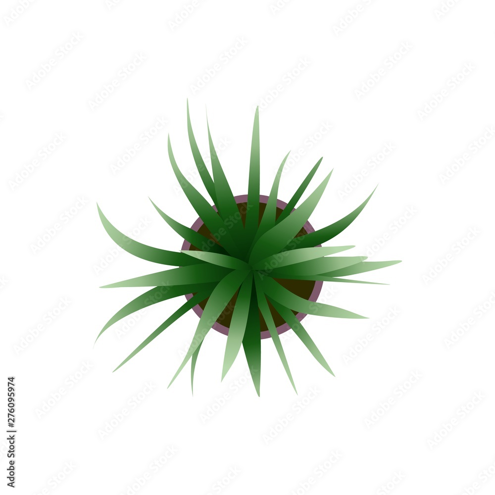 Top view. Green plants easy copy paste in your landscape design projects or architecture plan. Isolated flower on white background. Vector Top view. Green plants easy copy paste in your landscape design projects or architecture plan. Isolated flower on white background. Vector