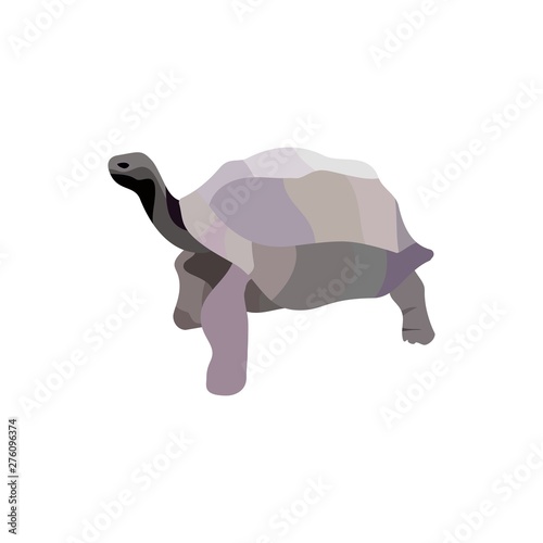 grey tortoise standing, simple design clip art preview
