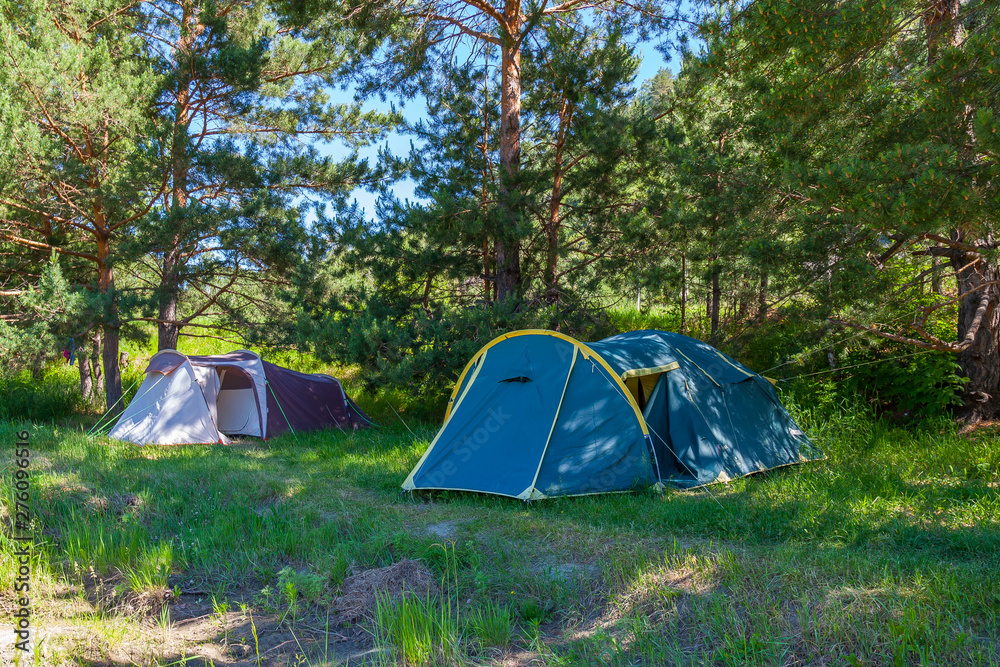 Tent camping in the shade of coniferous green trees on a sunny summer day. Extreme sports and outdoor recreation without people in the wilderness.
