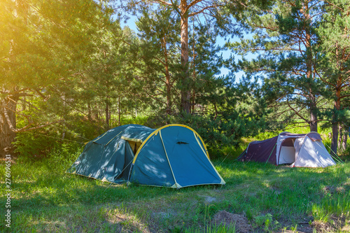 Tent camping in the shade of coniferous green trees on a sunny summer day. Extreme sports and outdoor recreation without people in the wilderness.