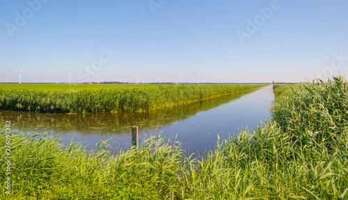 Canal in a field below a blue sky in sunlight in summer
