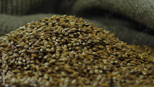 Grains of natural malt for the preparation of whiskey or craft beer