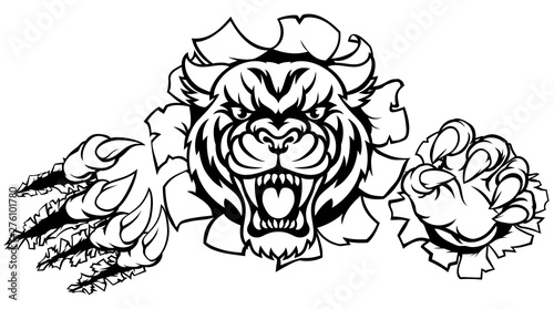 A Tiger angry animal sports mascot breaking through the background with its claws